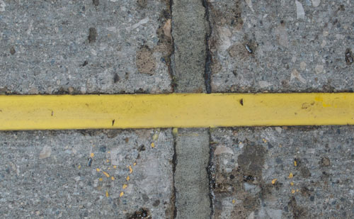 yellow-marking-MCMcl